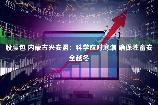 股腰包 内蒙古兴安盟：科学应对寒潮 确保牲畜安全越冬