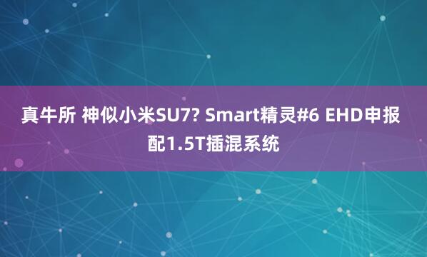 真牛所 神似小米SU7? Smart精灵#6 EHD申报 配1.5T插混系统